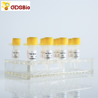 Πράσινο κύριο μίγμα δύναμης GDSBio για PCR με ROX P2101c P2102c