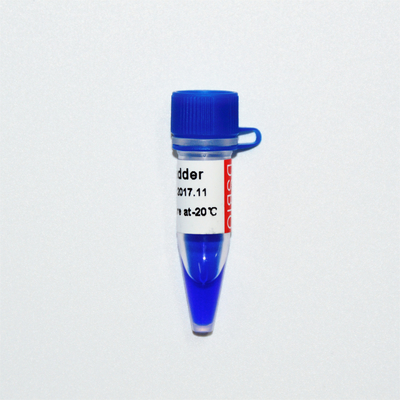20bp μπλε εμφάνιση GDSBio ηλεκτροφόρησης δεικτών DNA σκαλών